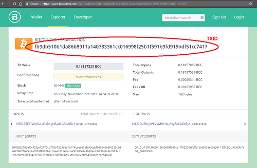 Bitcoin Cash transaction ID